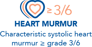 Characteristic systolic heart murmur greater than or equal to grade 3/6